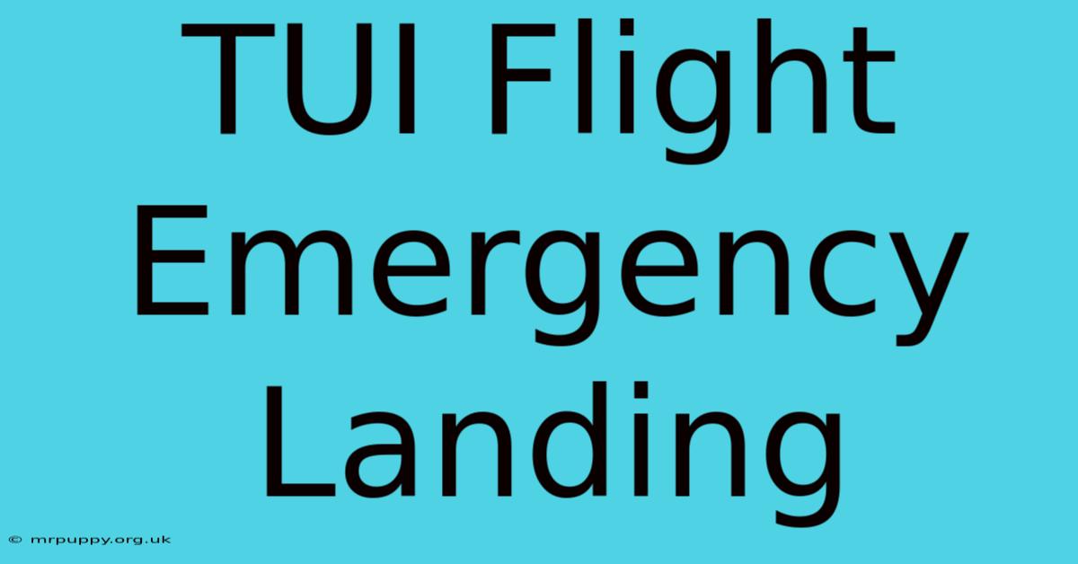 TUI Flight Emergency Landing