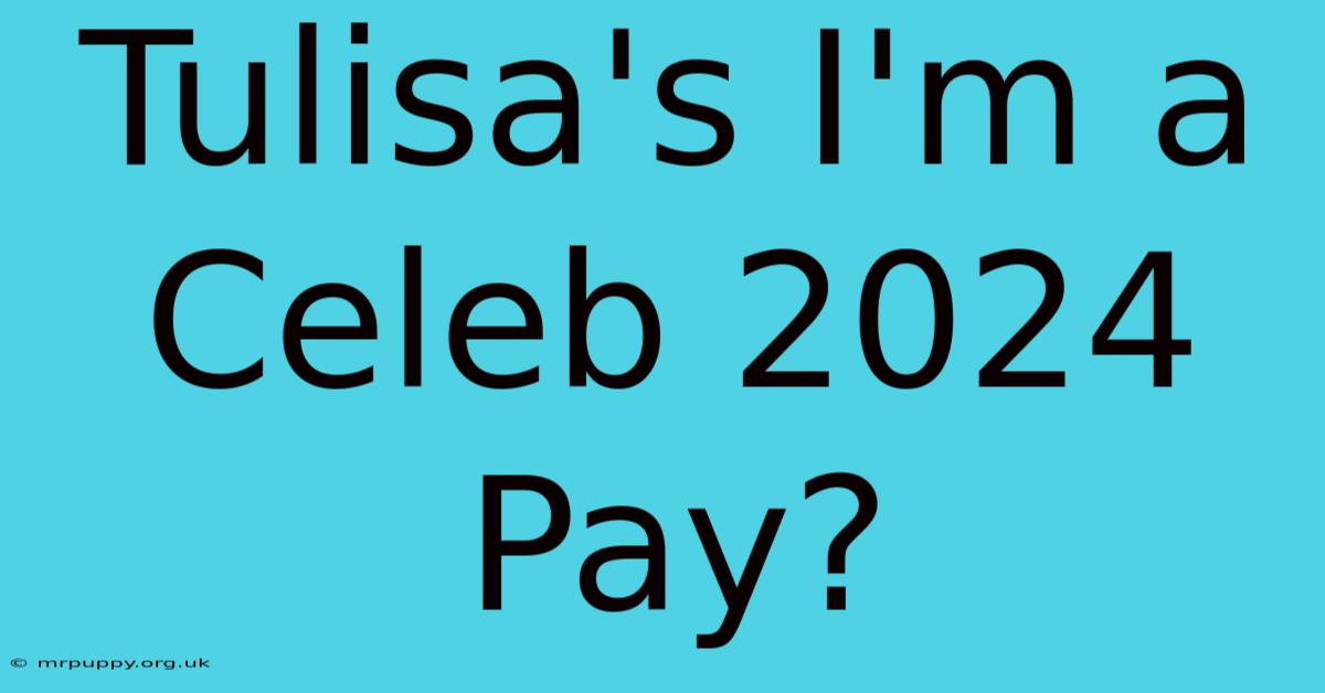 Tulisa's I'm A Celeb 2024 Pay?