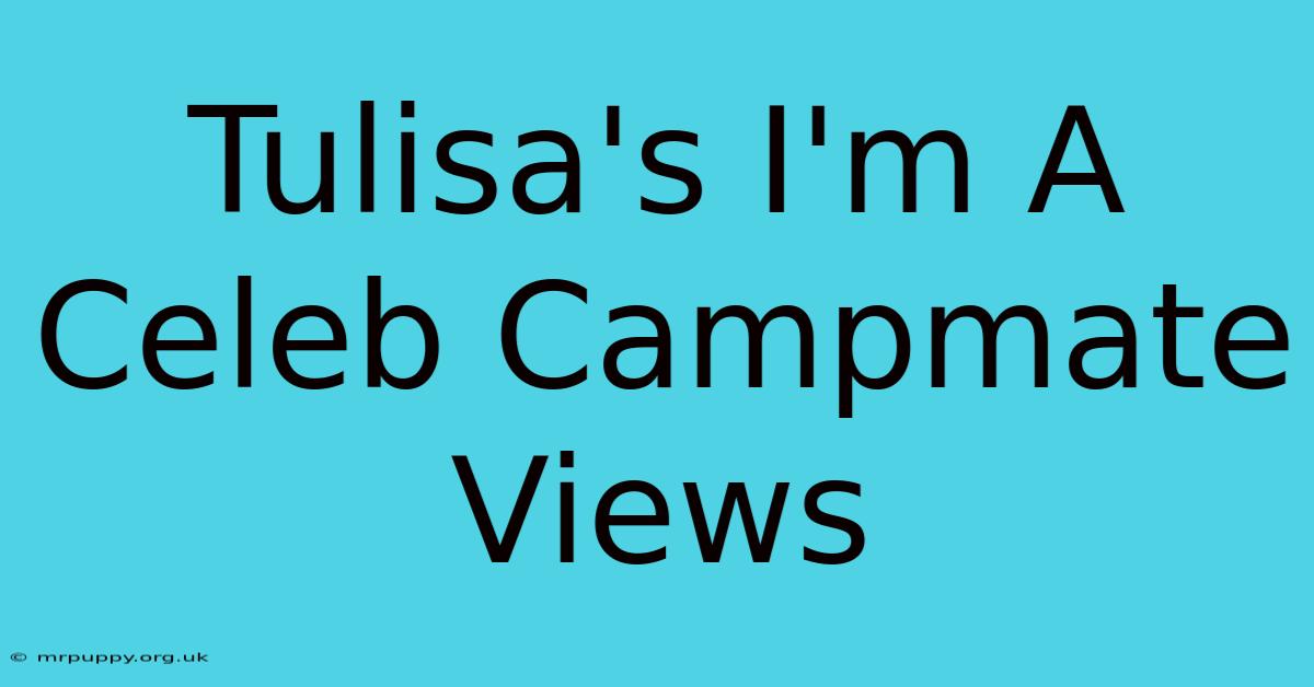 Tulisa's I'm A Celeb Campmate Views