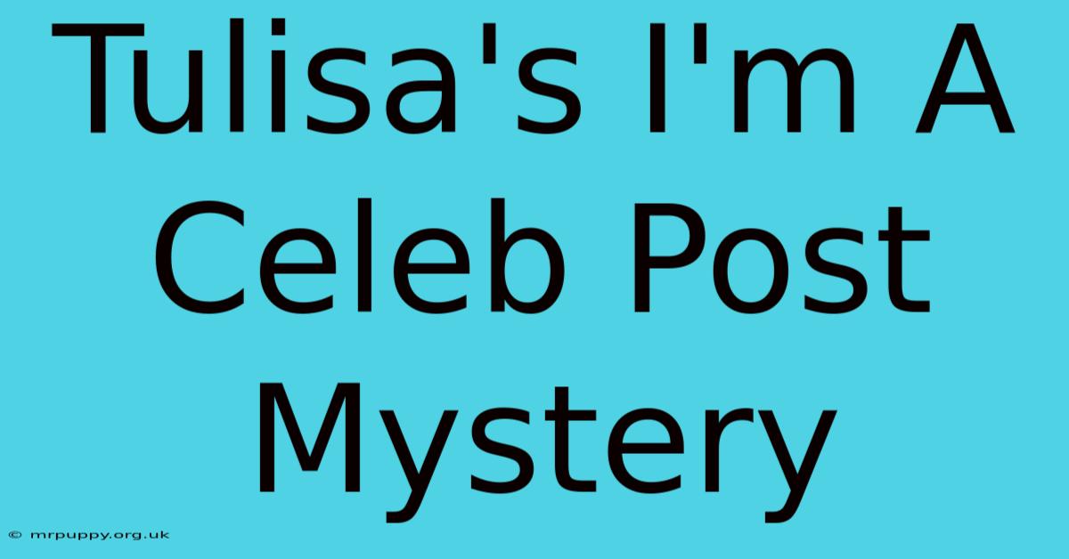 Tulisa's I'm A Celeb Post Mystery