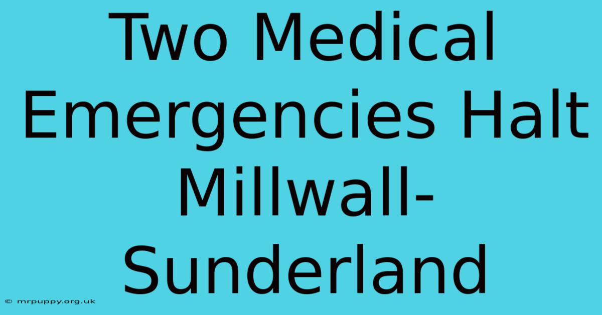 Two Medical Emergencies Halt Millwall-Sunderland