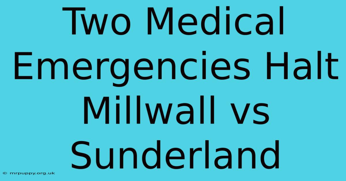 Two Medical Emergencies Halt Millwall Vs Sunderland