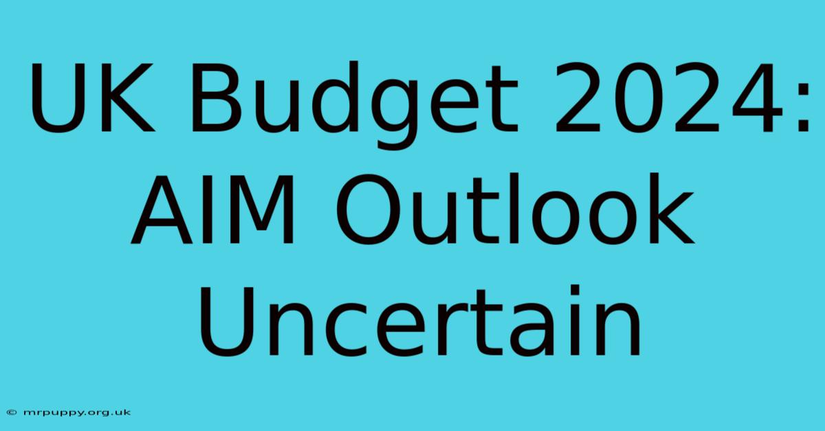 UK Budget 2024: AIM Outlook Uncertain