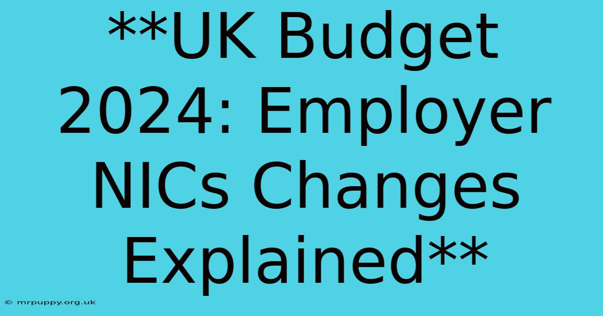 **UK Budget 2024: Employer NICs Changes Explained** 