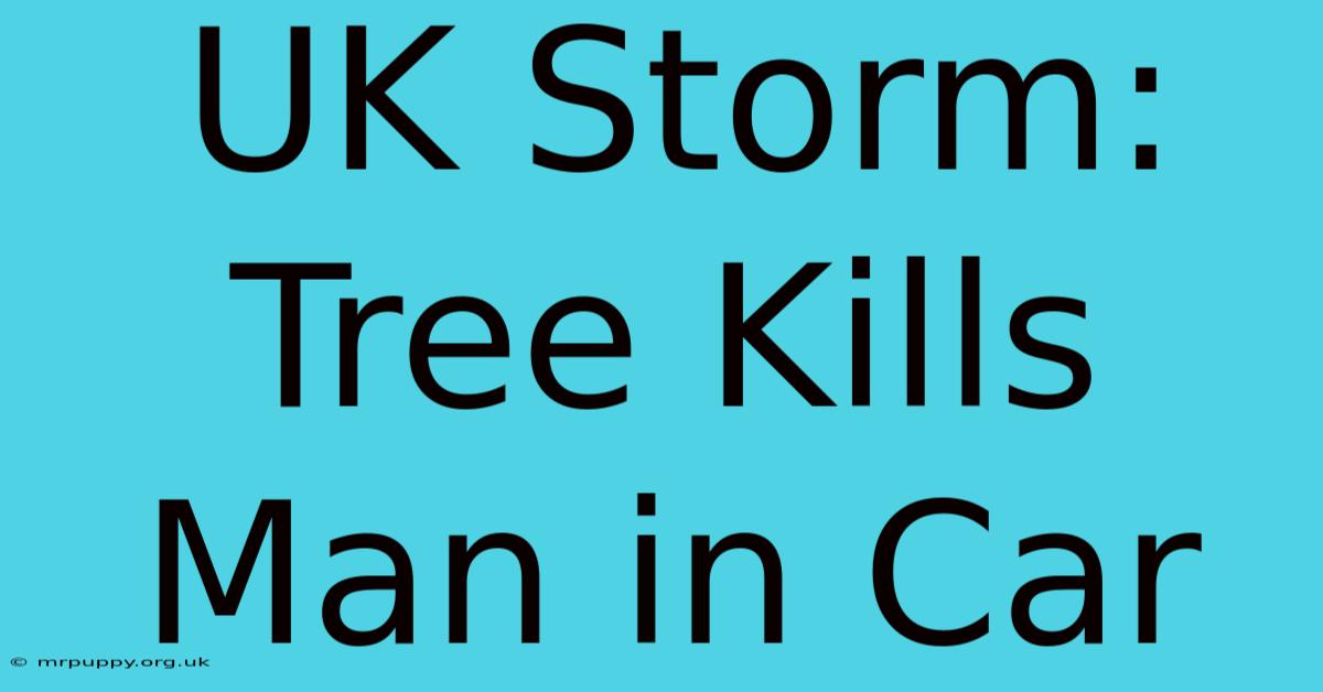 UK Storm: Tree Kills Man In Car