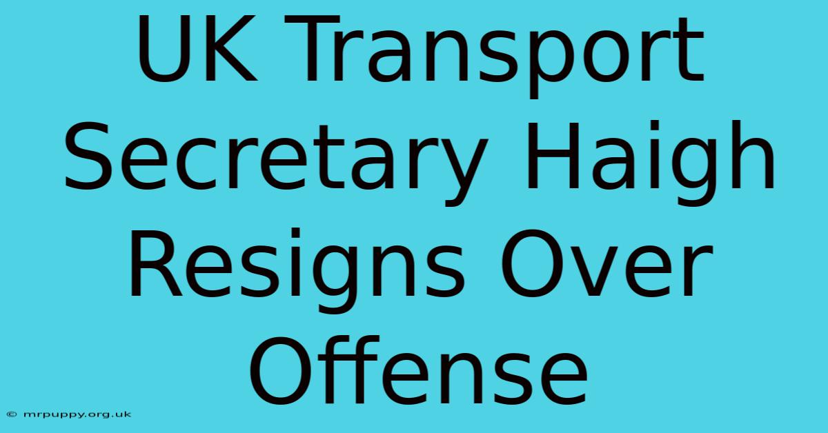 UK Transport Secretary Haigh Resigns Over Offense