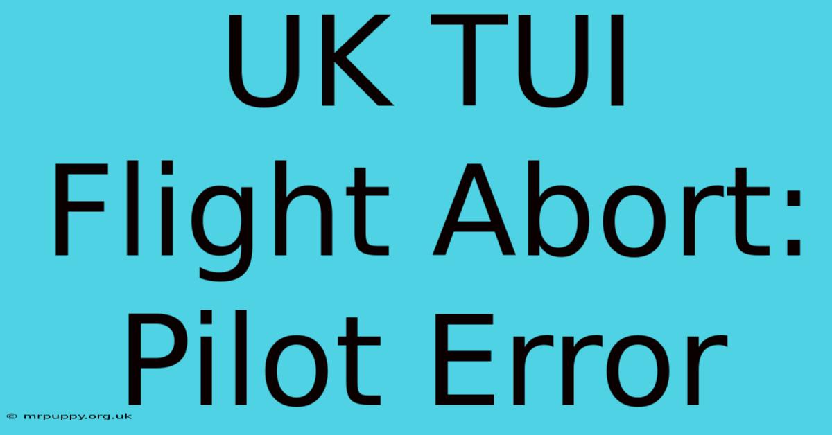 UK TUI Flight Abort: Pilot Error