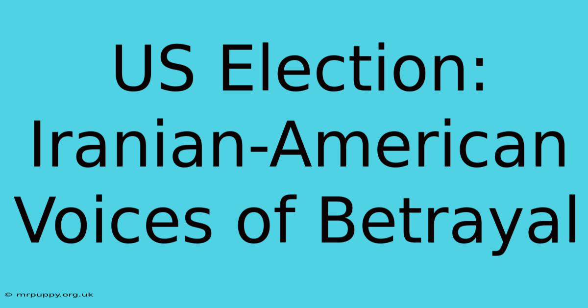 US Election: Iranian-American Voices Of Betrayal 