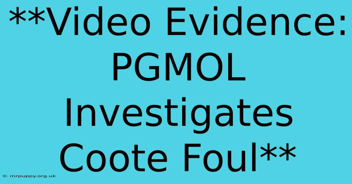 **Video Evidence: PGMOL Investigates Coote Foul** 