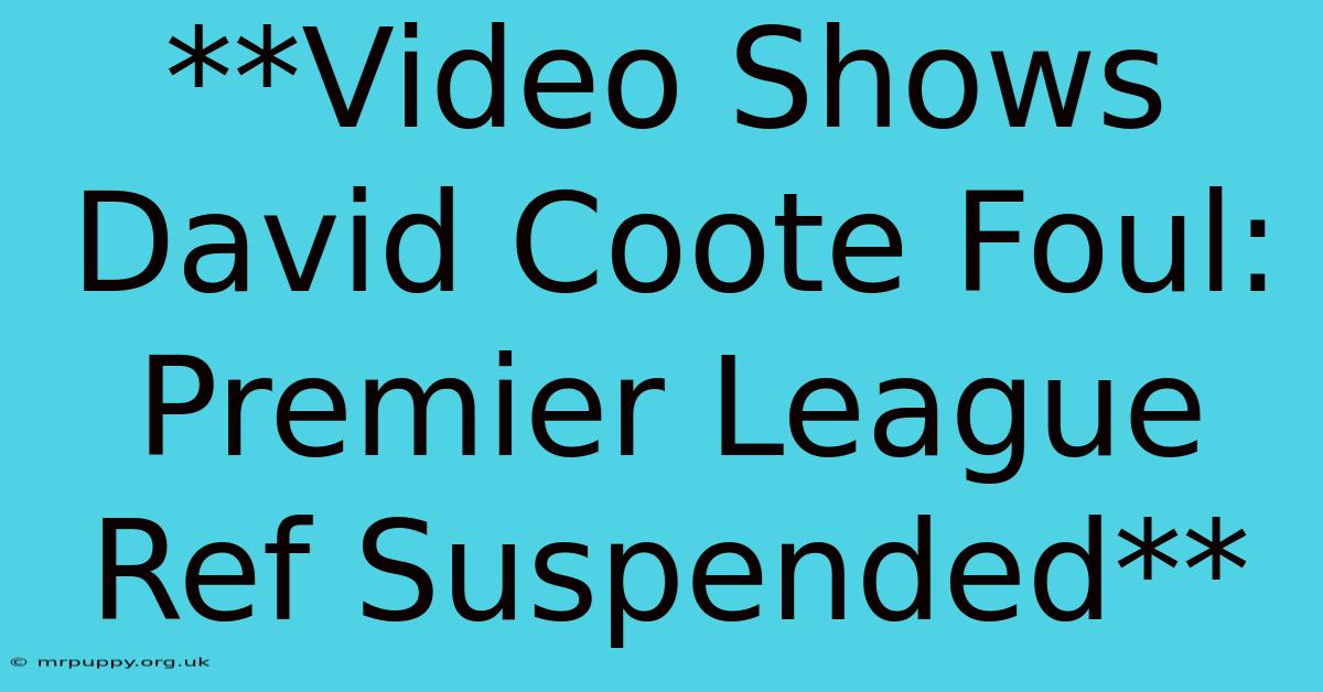 **Video Shows David Coote Foul: Premier League Ref Suspended**