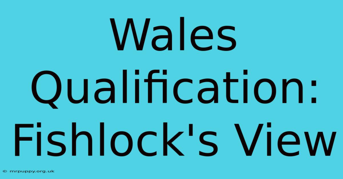 Wales Qualification: Fishlock's View