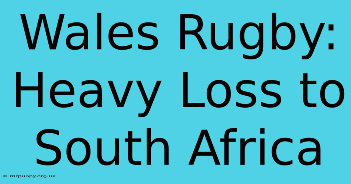 Wales Rugby: Heavy Loss To South Africa