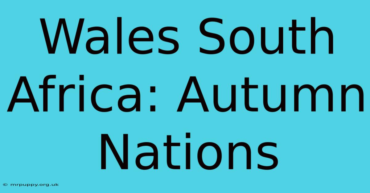 Wales South Africa: Autumn Nations