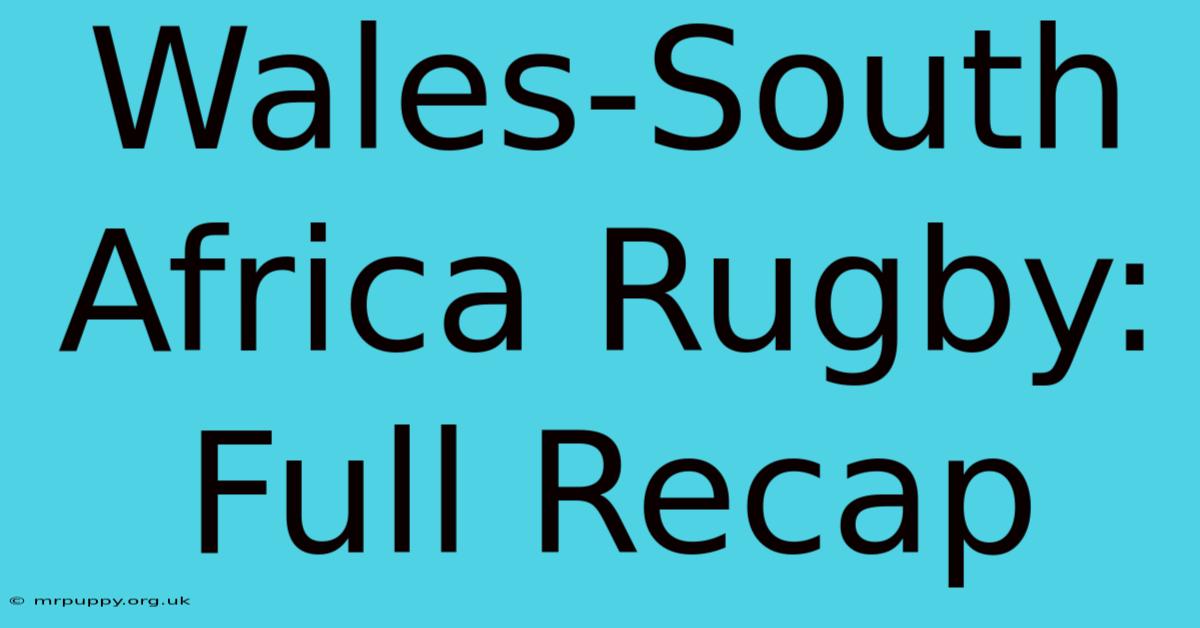 Wales-South Africa Rugby: Full Recap