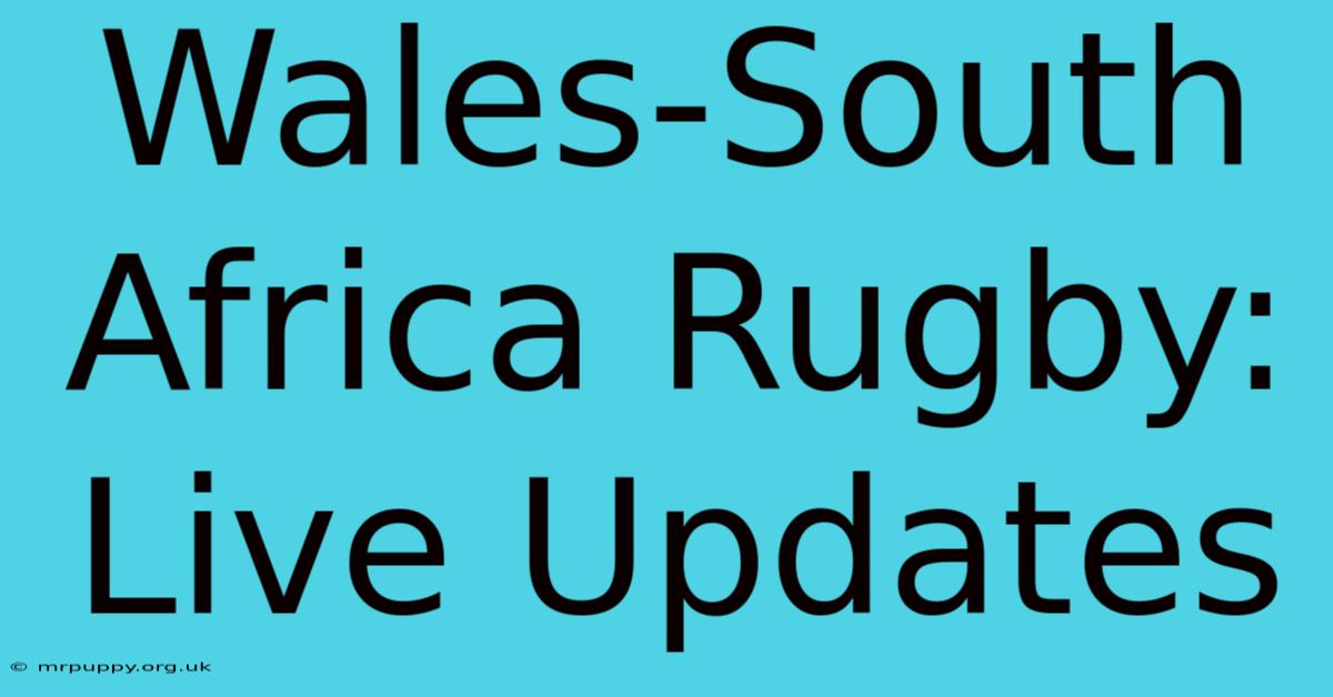 Wales-South Africa Rugby: Live Updates