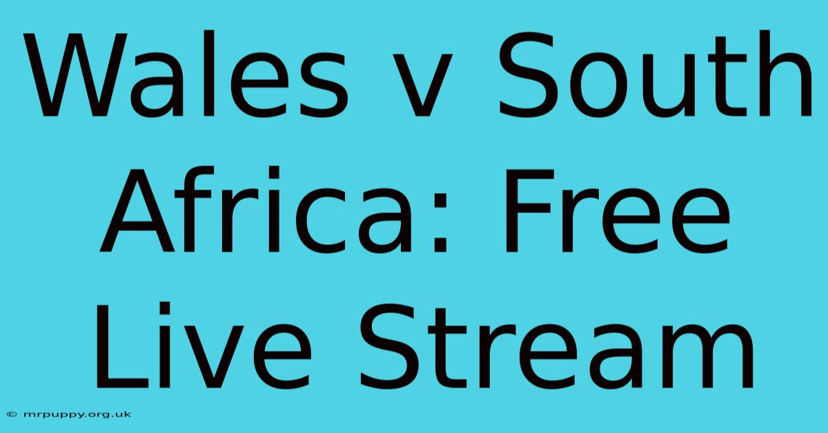 Wales V South Africa: Free Live Stream