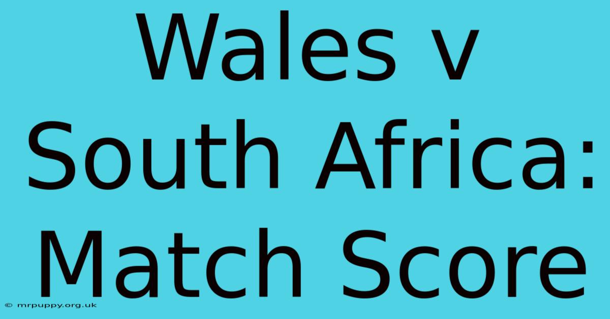 Wales V South Africa: Match Score