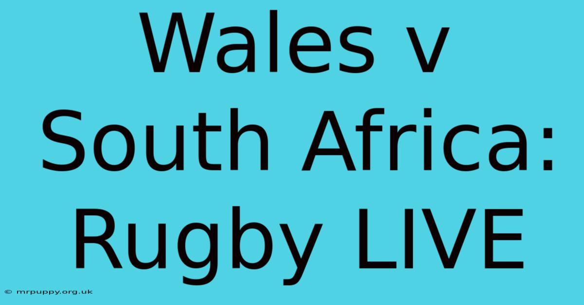 Wales V South Africa: Rugby LIVE