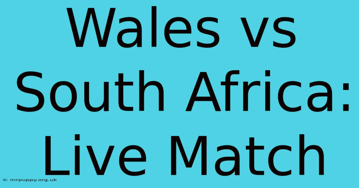 Wales Vs South Africa: Live Match