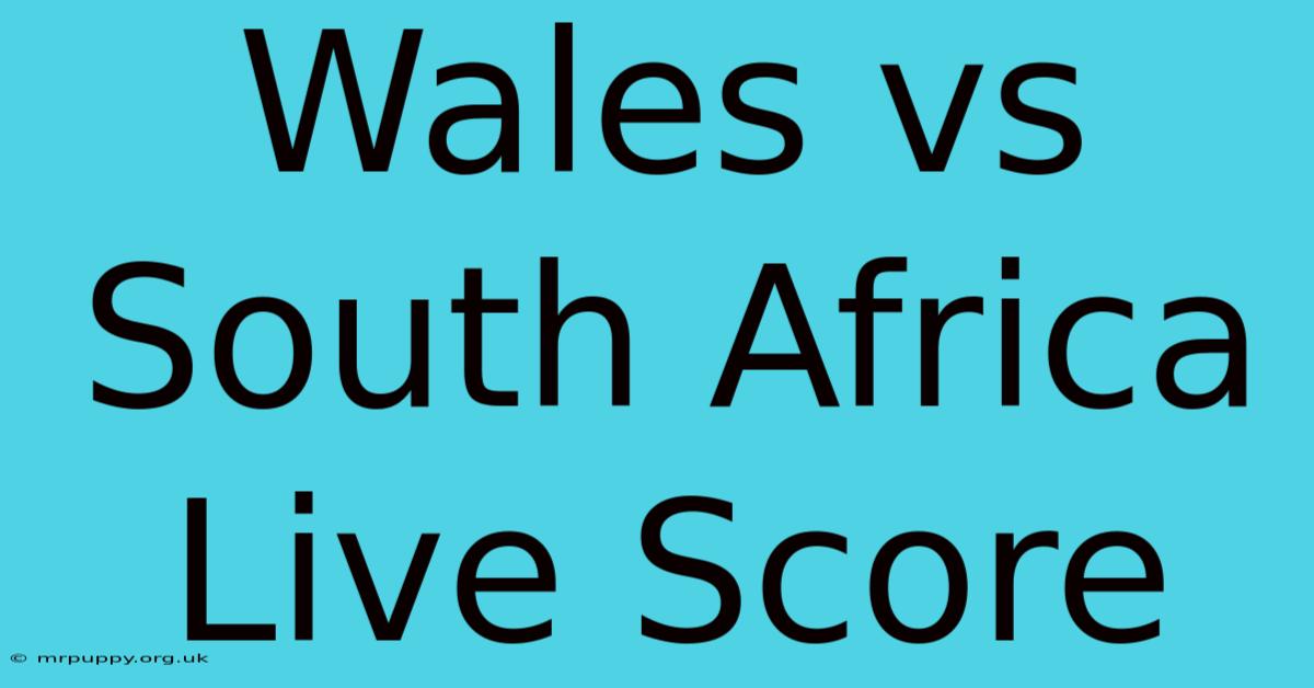 Wales Vs South Africa Live Score