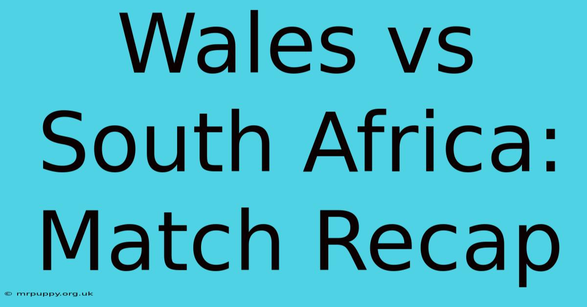 Wales Vs South Africa: Match Recap