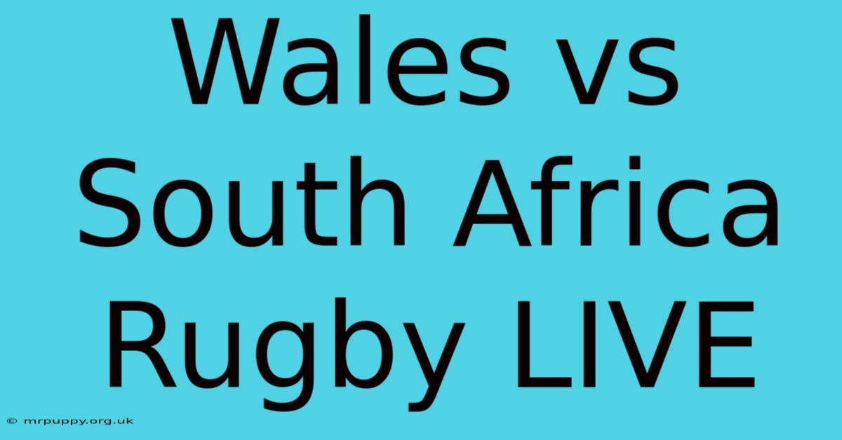 Wales Vs South Africa Rugby LIVE