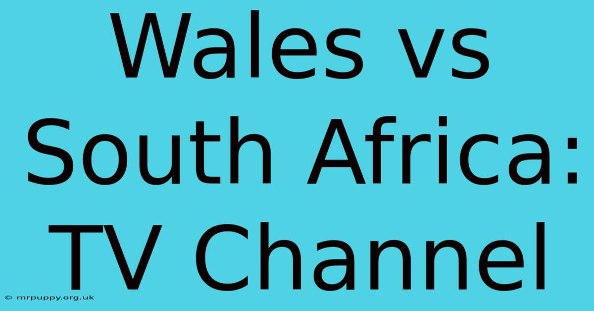 Wales Vs South Africa: TV Channel