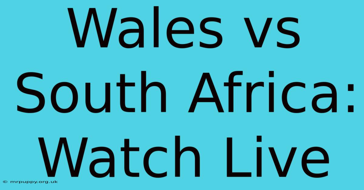 Wales Vs South Africa: Watch Live