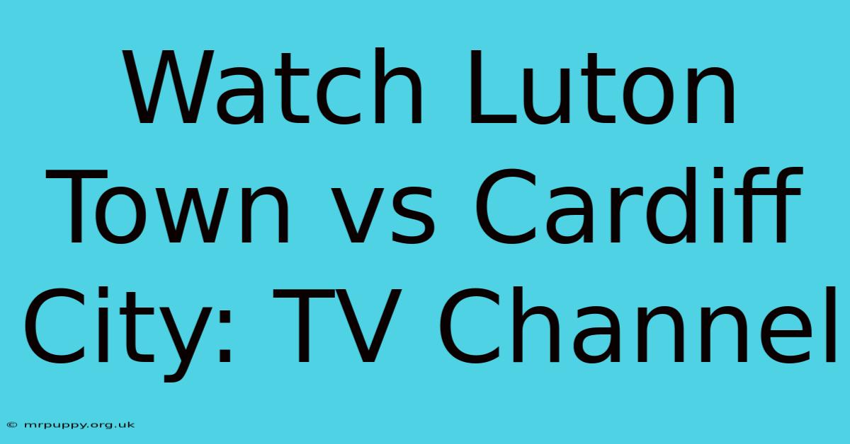 Watch Luton Town Vs Cardiff City: TV Channel