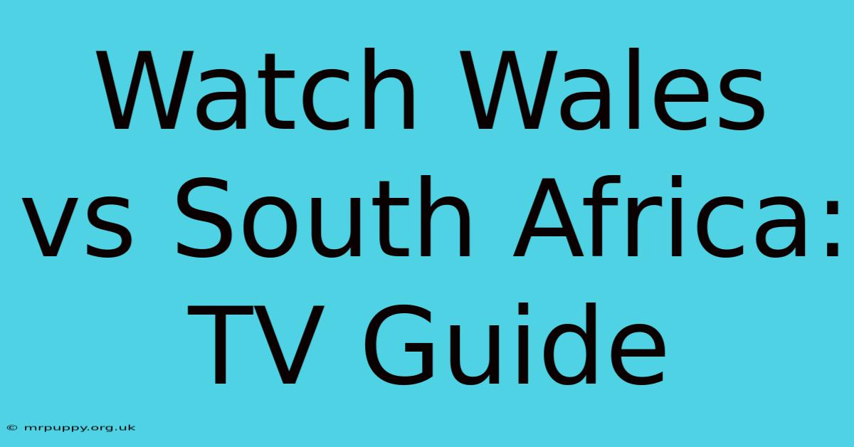 Watch Wales Vs South Africa: TV Guide