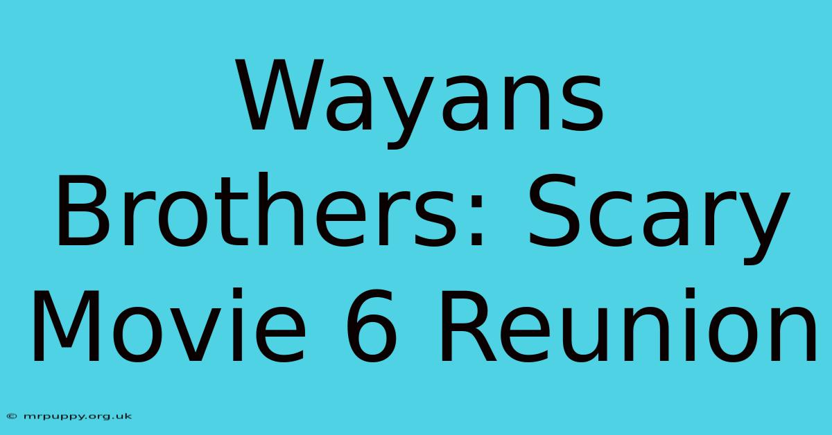 Wayans Brothers: Scary Movie 6 Reunion 