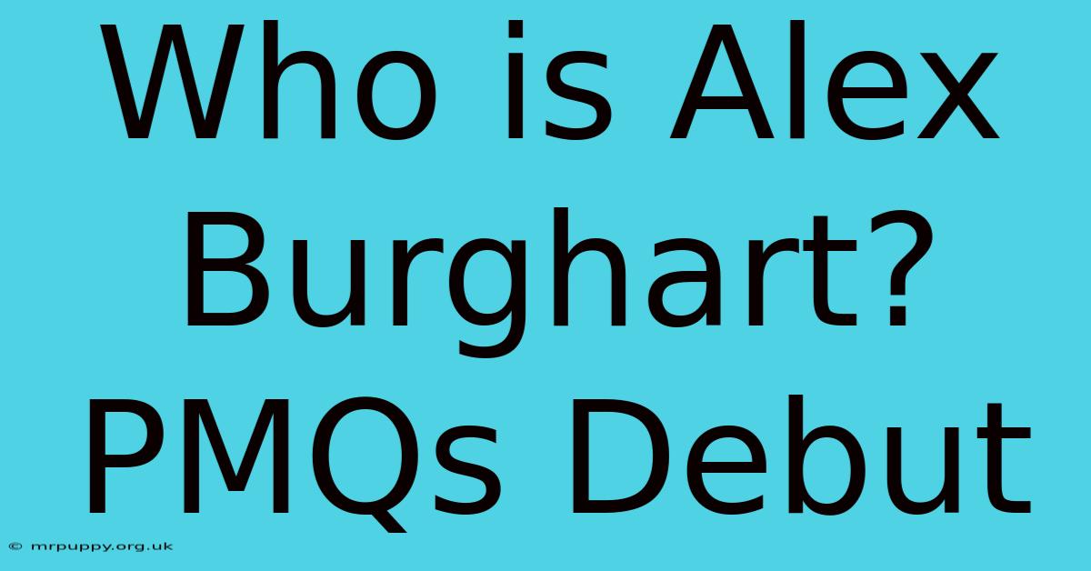 Who Is Alex Burghart? PMQs Debut