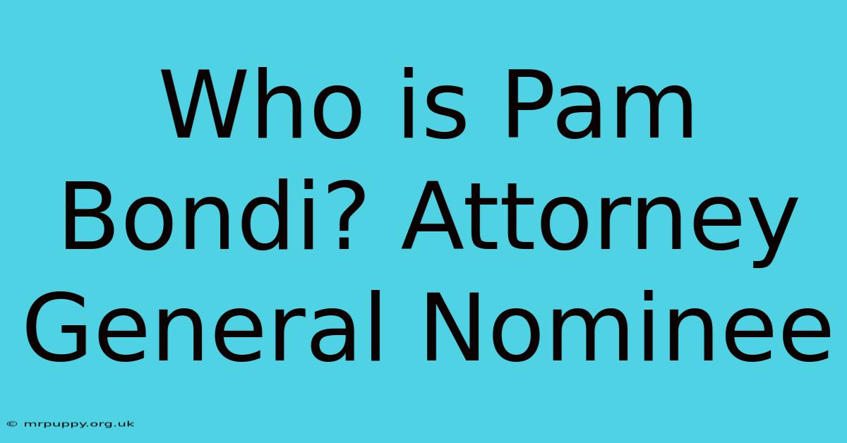 Who Is Pam Bondi? Attorney General Nominee