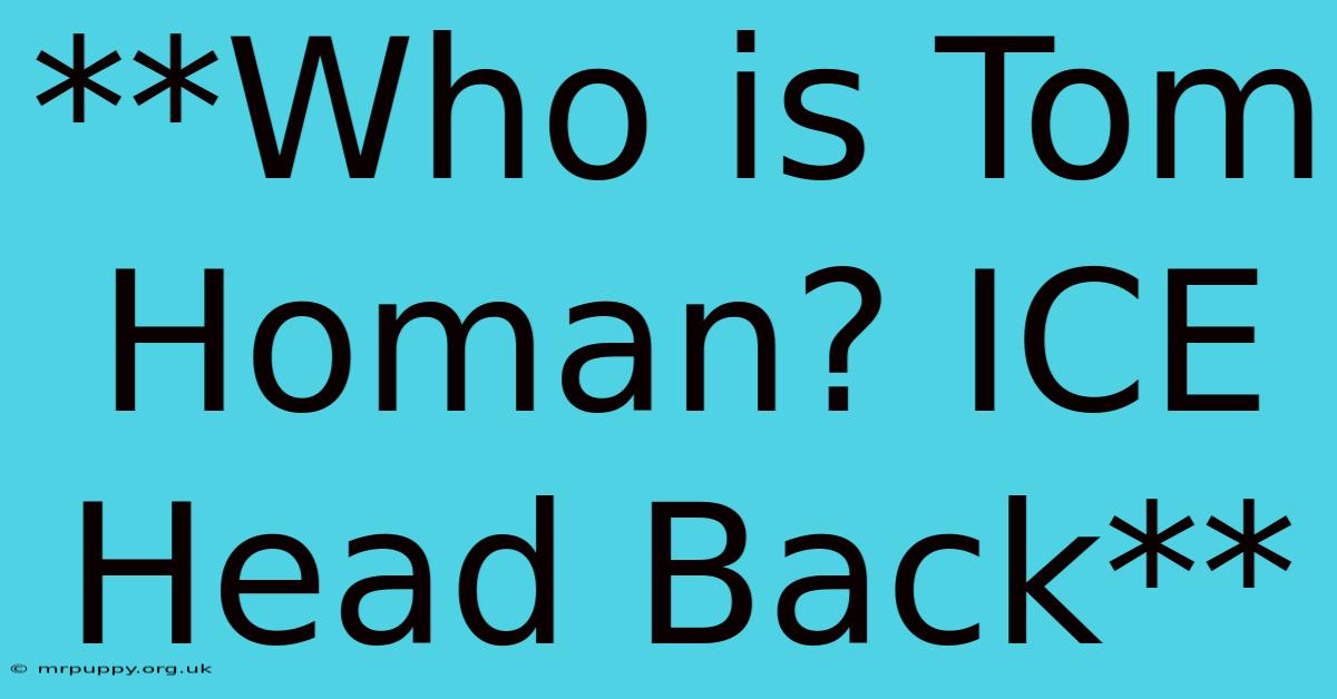 **Who Is Tom Homan? ICE Head Back**