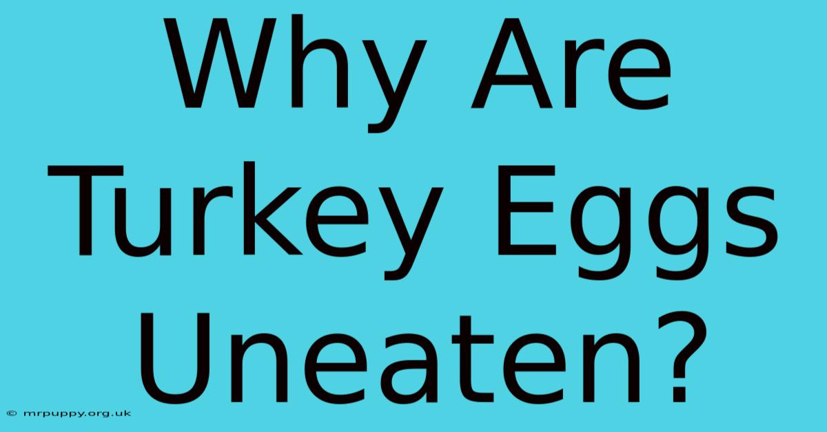 Why Are Turkey Eggs Uneaten?