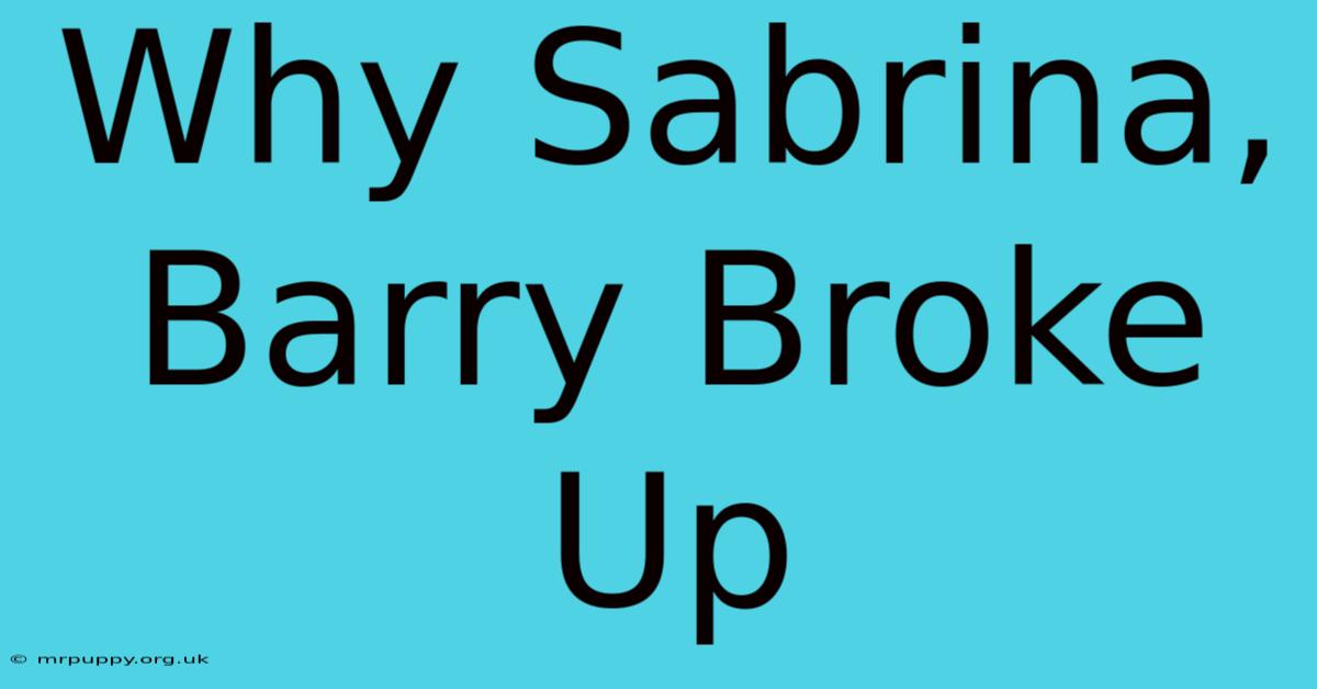 Why Sabrina, Barry Broke Up