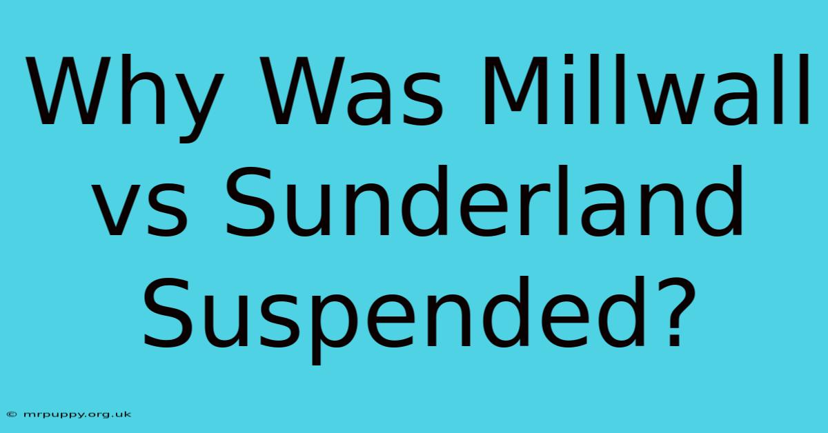 Why Was Millwall Vs Sunderland Suspended?