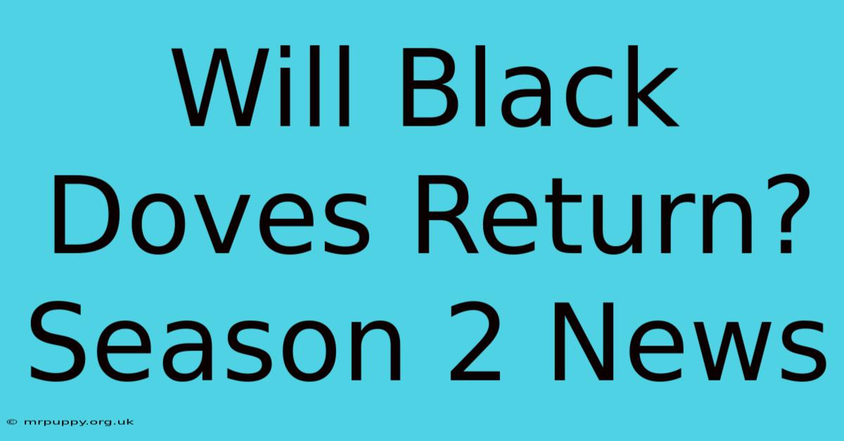 Will Black Doves Return? Season 2 News