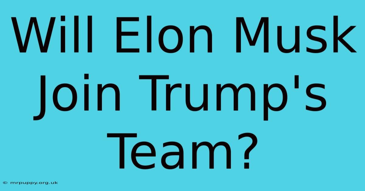 Will Elon Musk Join Trump's Team?