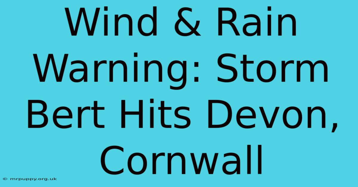 Wind & Rain Warning: Storm Bert Hits Devon, Cornwall