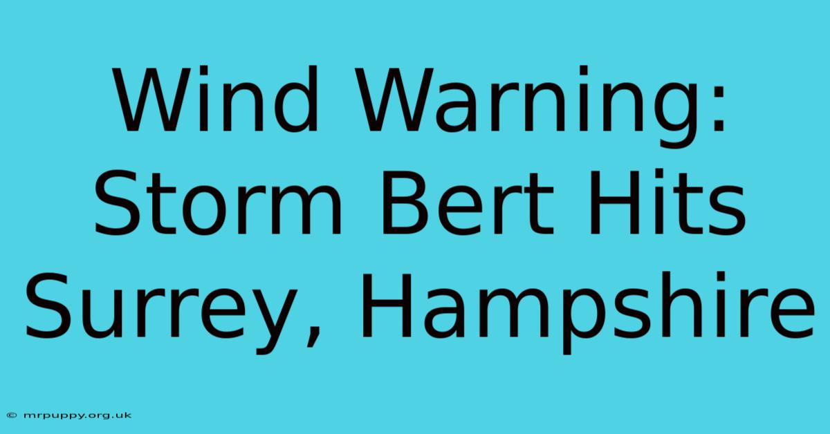 Wind Warning: Storm Bert Hits Surrey, Hampshire