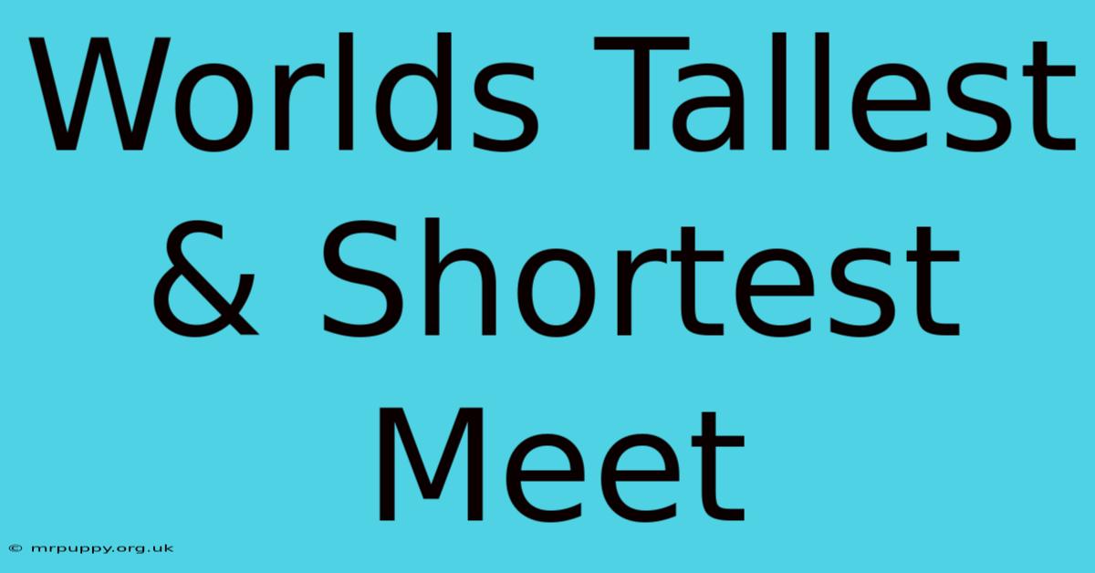 Worlds Tallest & Shortest Meet