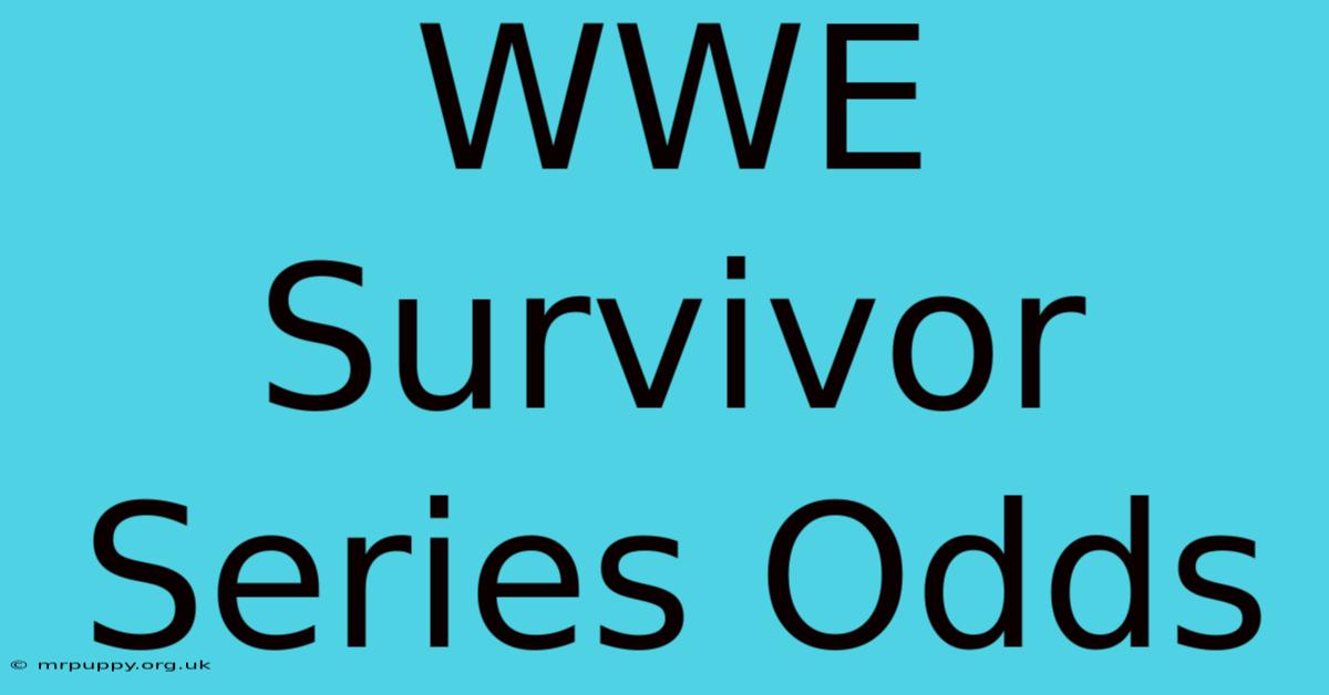 WWE Survivor Series Odds