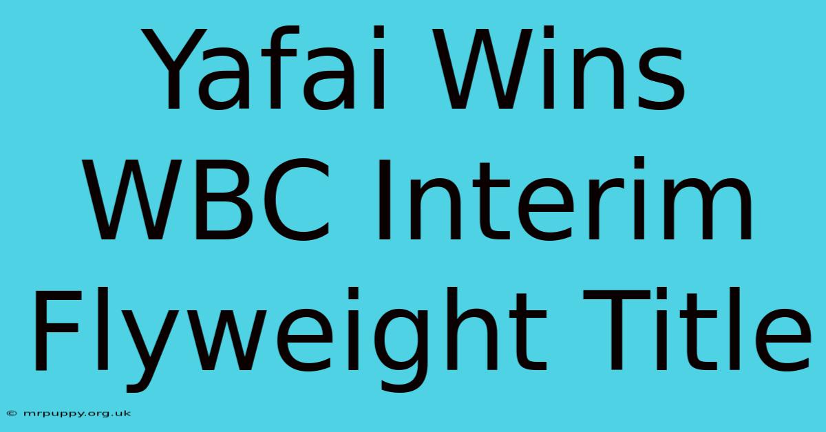 Yafai Wins WBC Interim Flyweight Title