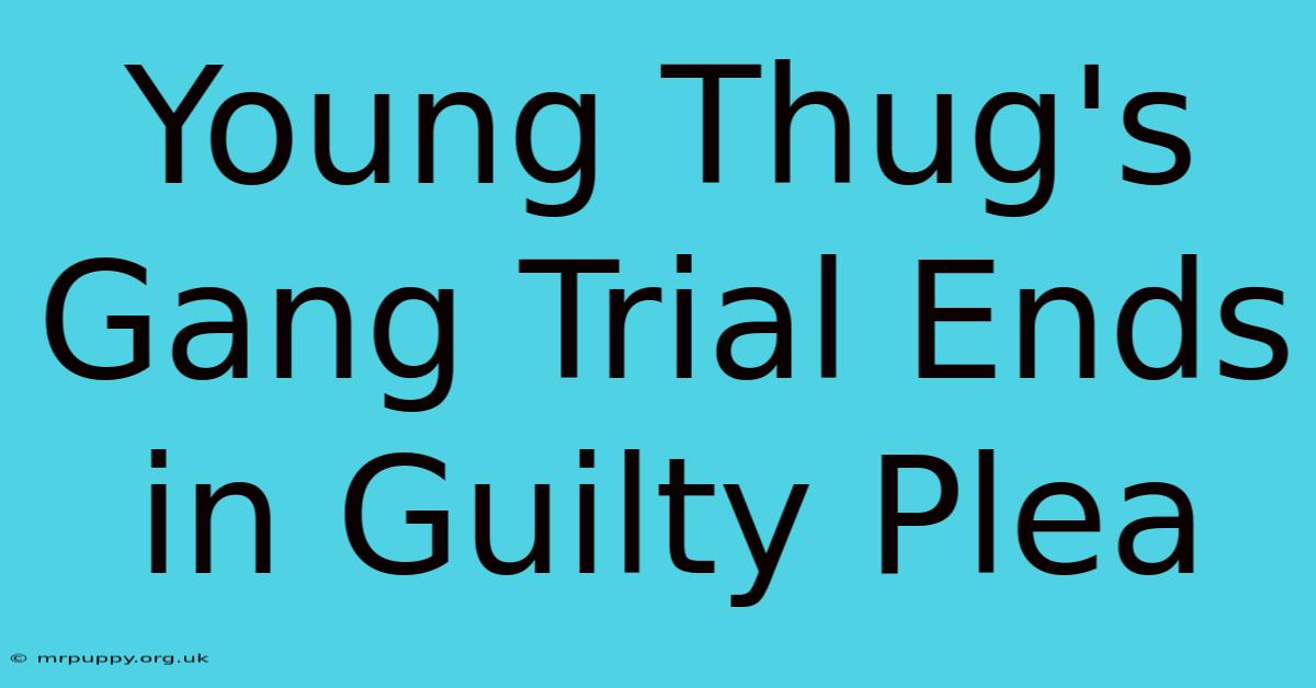 Young Thug's Gang Trial Ends In Guilty Plea 